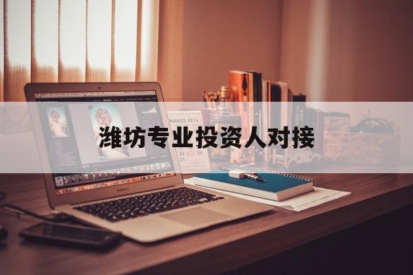 阿拉尔市潍坊专业投资人对接(潍坊专业投资人对接中心)